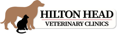 Hilton Head Veterinary Clinic logo